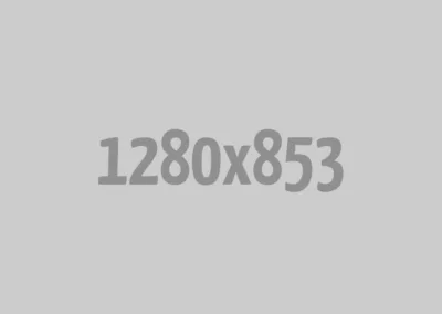 Commercial Project 2